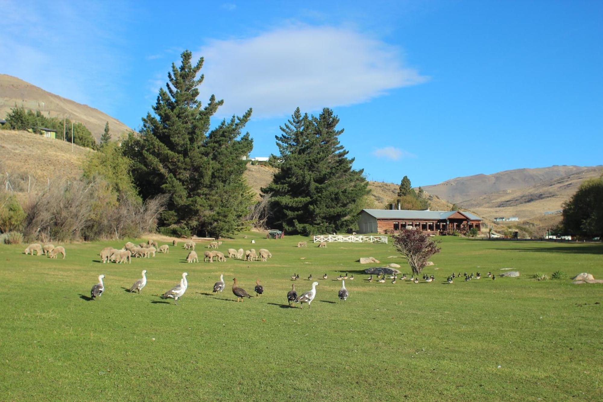 Kau Yatun Boutique 4* El Calafate